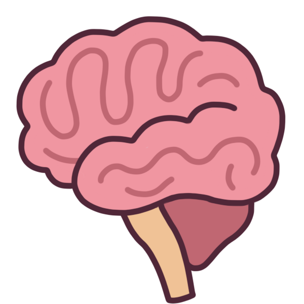 a brain with chiari malformation, where the cerebellum extends into the same area as the spinal cord.